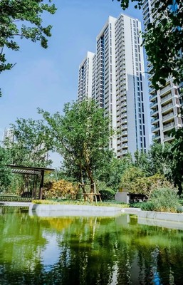 鄭州開發商,我勸你不要做紓困基金的白日夢