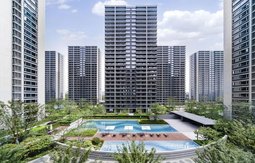 大家房產 穩健發展穿越行業波動，產品向新助力韌性前行